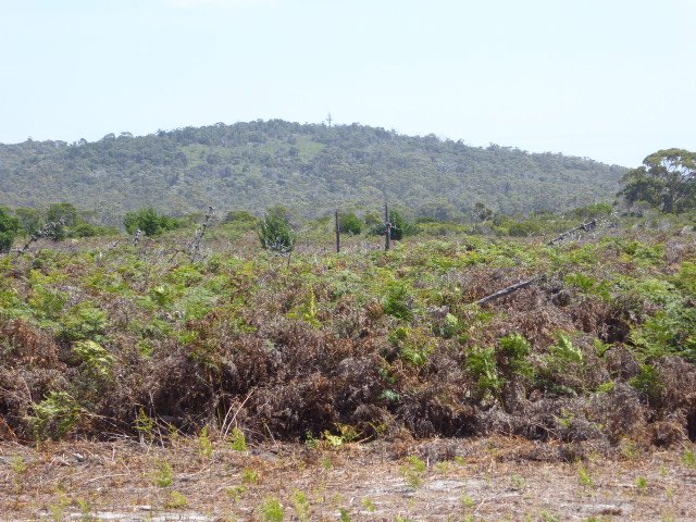 Photo - PID 6431995 Pot Boil Road, Lady Barron TAS 7255 - Image 2