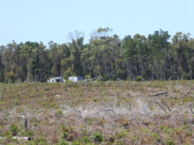 Photo - PID 6431995 Pot Boil Road, Lady Barron TAS 7255 - Image 6