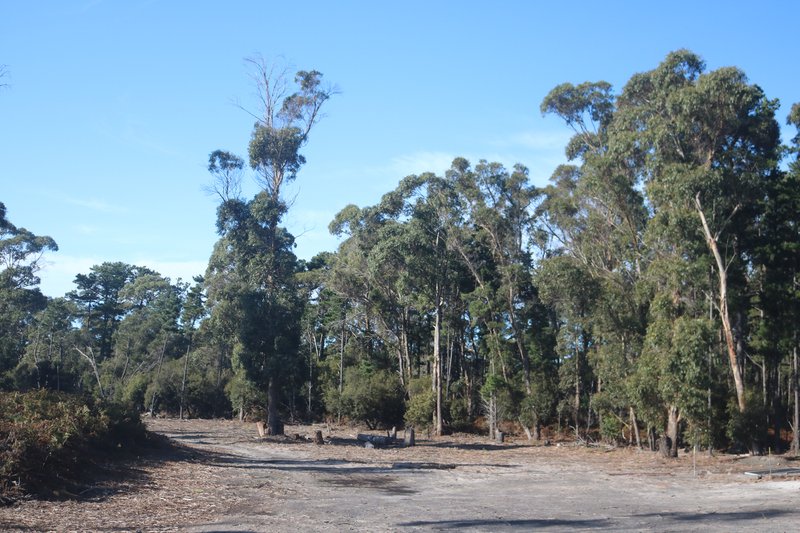 PID 6431995 Pot Boil Road, Lady Barron TAS 7255