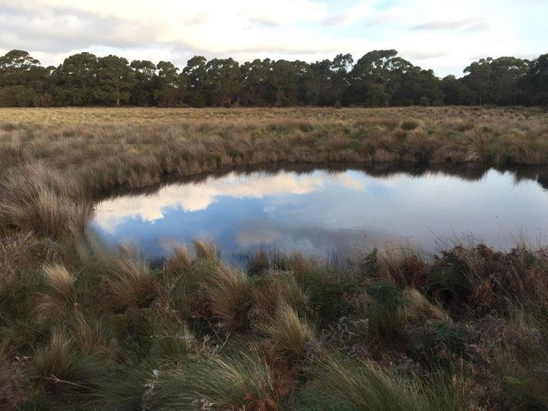 Photo - PID 6432074 Lime Pit Road, Lackrana TAS 7255 - Image 6