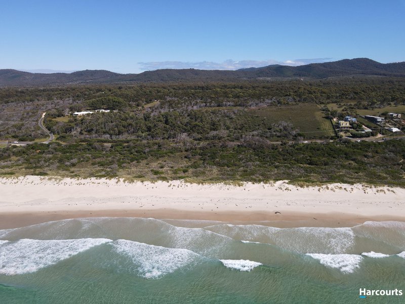 Photo - PID 7689699 Tasman Highway, Beaumaris TAS 7215 - Image 8