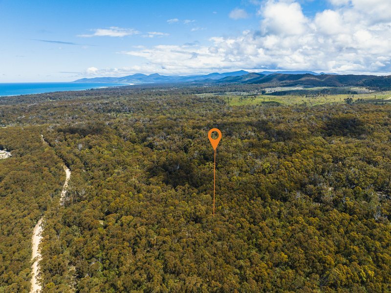 Photo - PID 773146 Basin Creek Road, St Helens TAS 7216 - Image 5