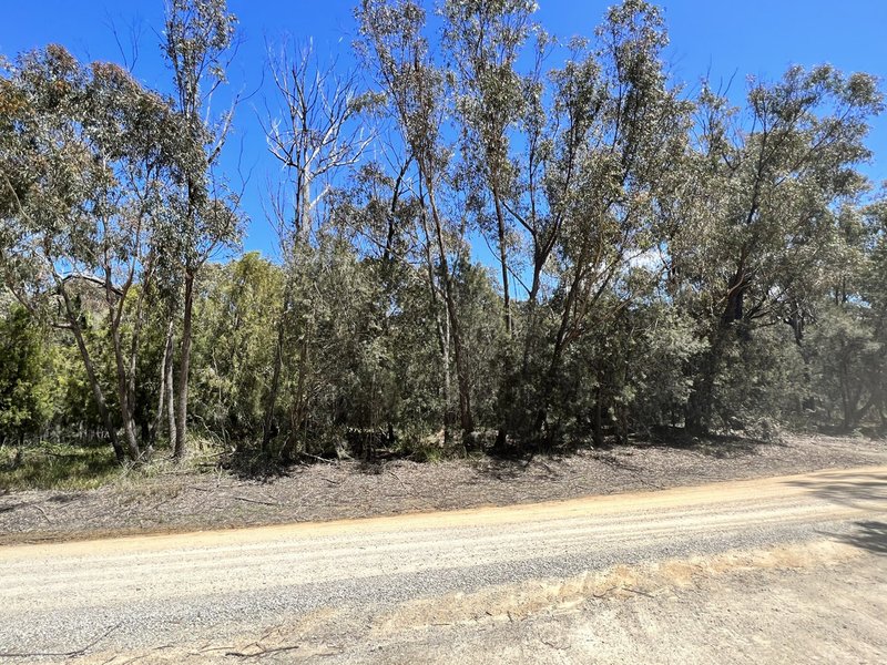 Photo - PID 773146 Basin Creek Road, St Helens TAS 7216 - Image 9