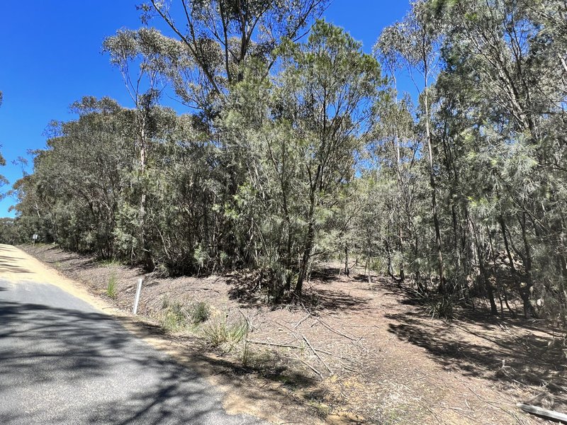 Photo - PID 773146 Basin Creek Road, St Helens TAS 7216 - Image 10