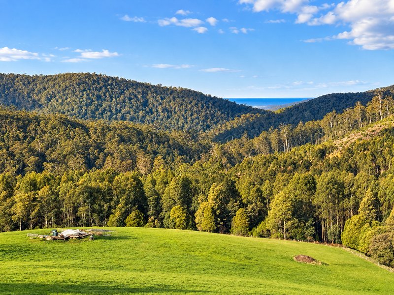 Photo - PID 9317373 Powers Road, Pyengana TAS 7216 - Image 3