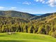 Photo - PID 9317373 Powers Road, Pyengana TAS 7216 - Image 3