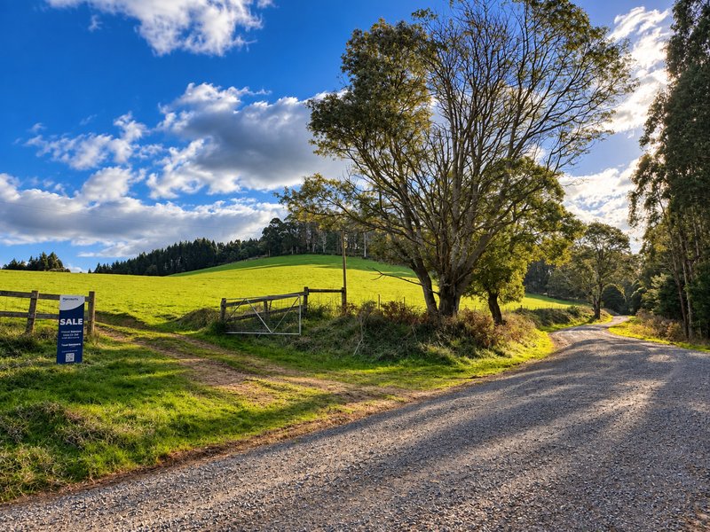 Photo - PID 9317373 Powers Road, Pyengana TAS 7216 - Image 4