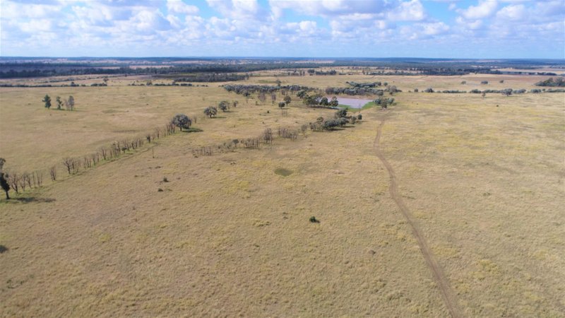 Photo - Pinora West 500 Lambing Flat Road, Jackson QLD 4426 - Image 3