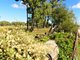 Photo - Pinora West 500 Lambing Flat Road, Jackson QLD 4426 - Image 14