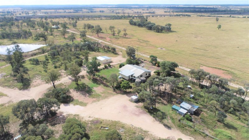 Photo - Pinora West 500 Lambing Flat Road, Jackson QLD 4426 - Image 16