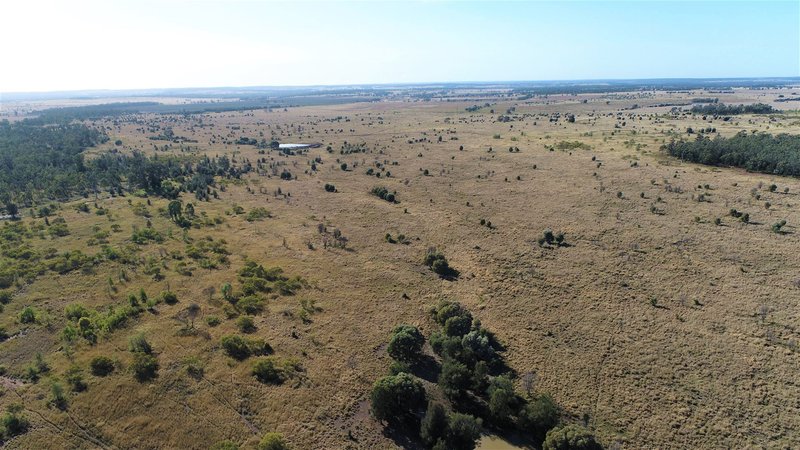 Photo - Pinora West 500 Lambing Flat Road, Jackson QLD 4426 - Image 19