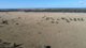 Photo - Pinora West 500 Lambing Flat Road, Jackson QLD 4426 - Image 20