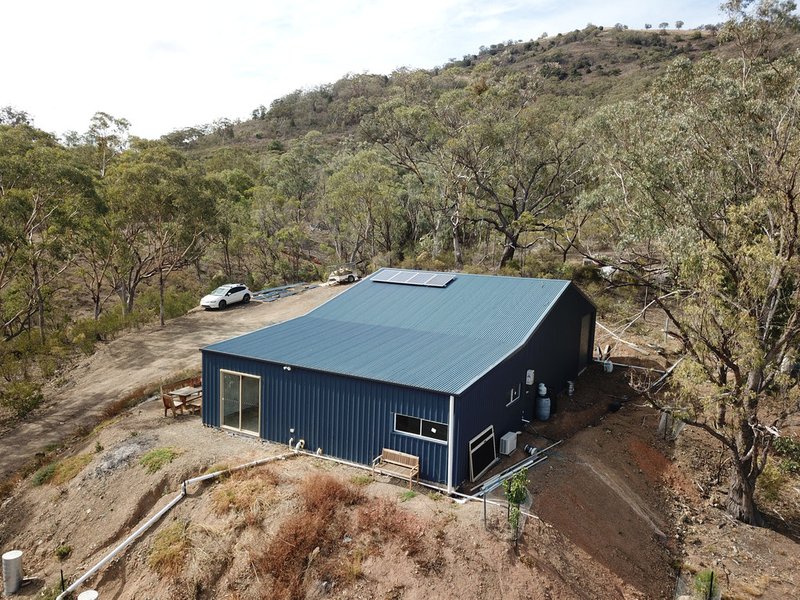 Photo - Pleasant Hills 4052 Halls Creek Road, Bendemeer NSW 2355 - Image 2