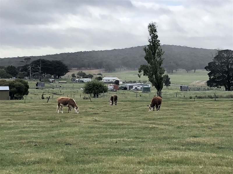 Photo - POC 163969P Happy Valley Road, Happy Valley VIC 3360 - Image 3