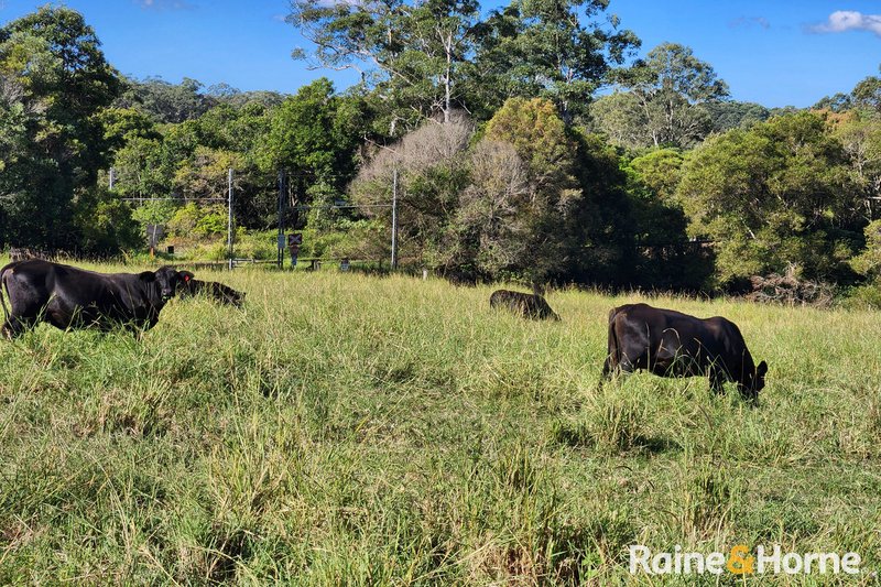 Photo - Pomona QLD 4568 - Image 13