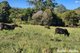 Photo - Pomona QLD 4568 - Image 13