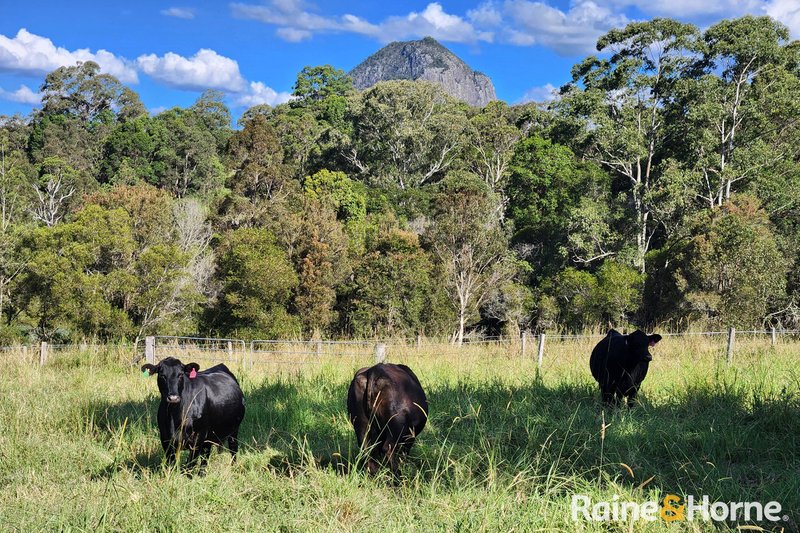Photo - Pomona QLD 4568 - Image 14