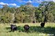Photo - Pomona QLD 4568 - Image 14