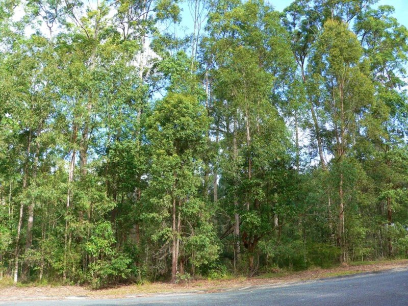 Photo - Pomona QLD 4568 - Image 6