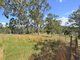 Photo - Portion 20 Armidale Road, Lower Creek NSW 2440 - Image 11