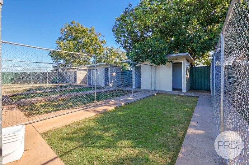 Photo - Precious Pets Boarding Kennel And Cattery , Tamworth NSW 2340 - Image 2