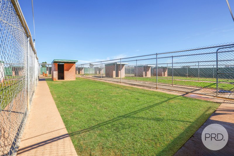 Photo - Precious Pets Boarding Kennel And Cattery , Tamworth NSW 2340 - Image 3