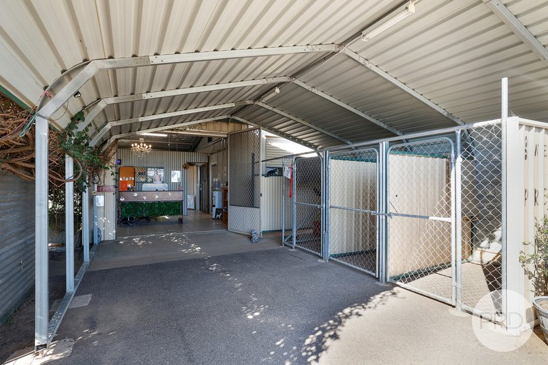 Photo - Precious Pets Boarding Kennel And Cattery , Tamworth NSW 2340 - Image 9