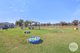 Photo - Precious Pets Boarding Kennel And Cattery , Tamworth NSW 2340 - Image 15