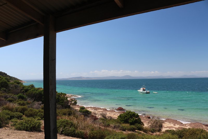 Photo - . Prime Seal Island (Bass Strait) , Whitemark TAS 7255 - Image 2