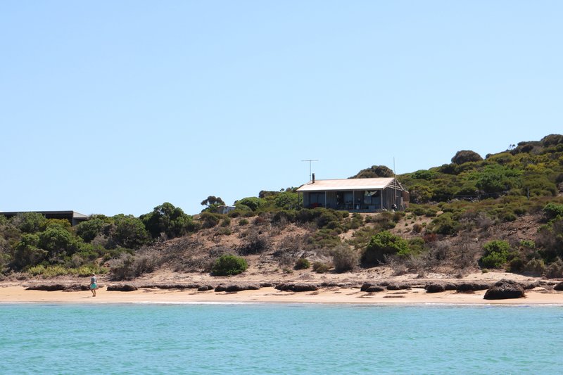 Photo - . Prime Seal Island (Bass Strait) , Whitemark TAS 7255 - Image 3