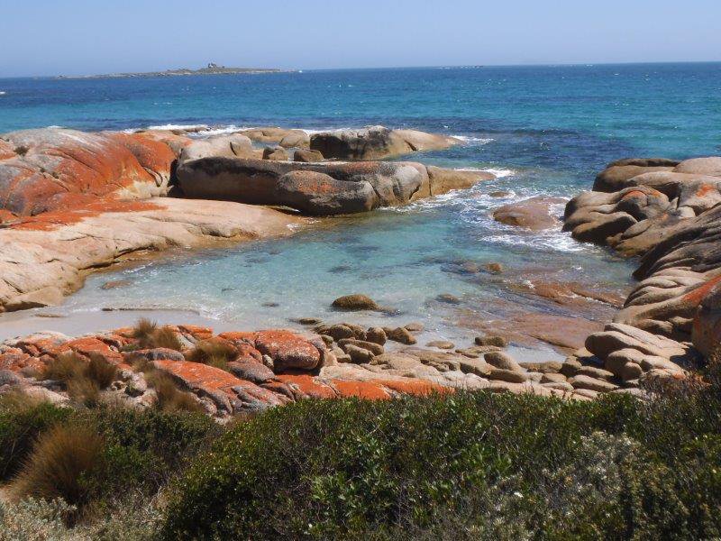 Photo - . Prime Seal Island (Bass Strait) , Whitemark TAS 7255 - Image 7