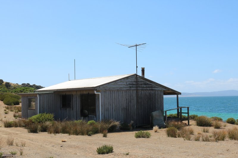 Photo - . Prime Seal Island (Bass Strait) , Whitemark TAS 7255 - Image 8