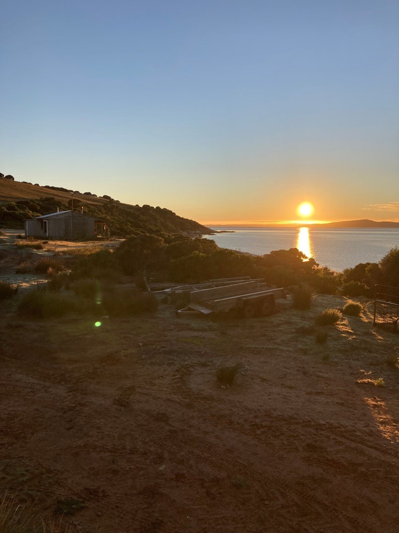 Photo - . Prime Seal Island (Bass Strait) , Whitemark TAS 7255 - Image 9