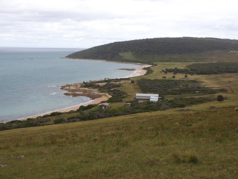 Photo - . Prime Seal Island (Bass Strait) , Whitemark TAS 7255 - Image 12