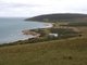 Photo - . Prime Seal Island (Bass Strait) , Whitemark TAS 7255 - Image 12