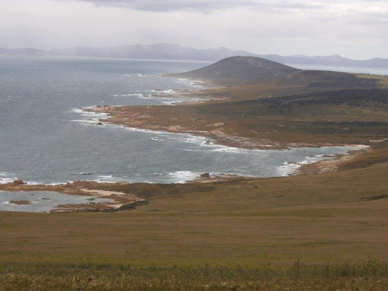 Photo - . Prime Seal Island (Bass Strait) , Whitemark TAS 7255 - Image 13