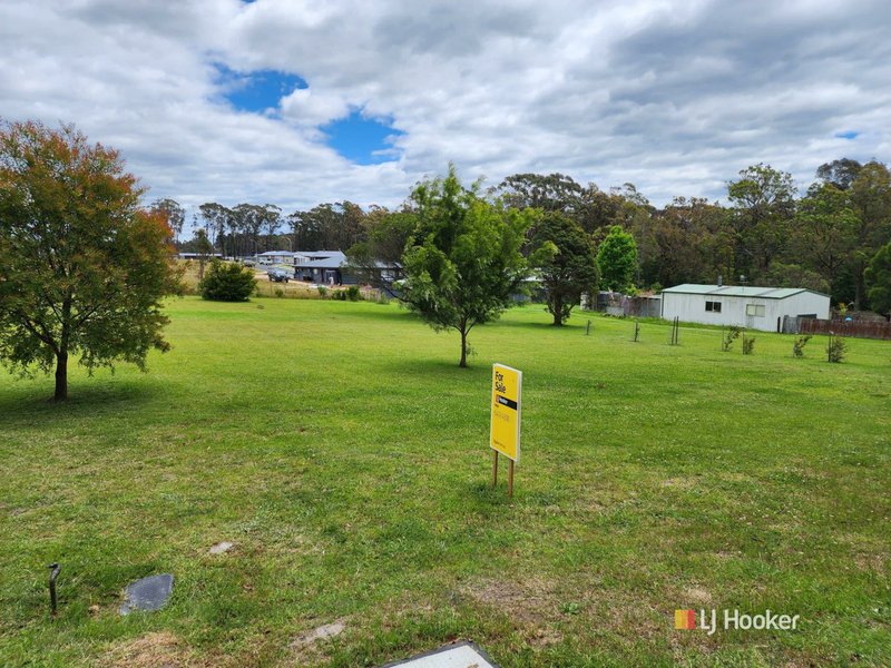 Photo - Proposed L Blackfellows Lake Road, Kalaru NSW 2550 - Image 2