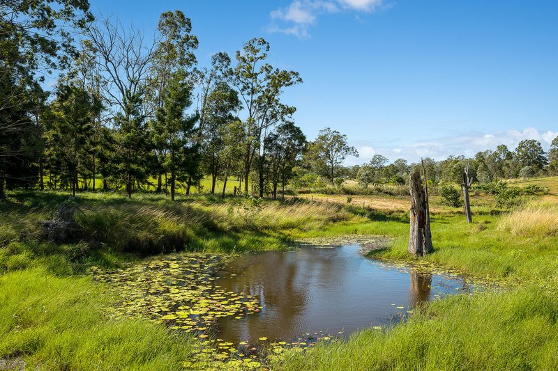 Photo - Proposed L Rive Court, Wights Mountain QLD 4520 - Image 18