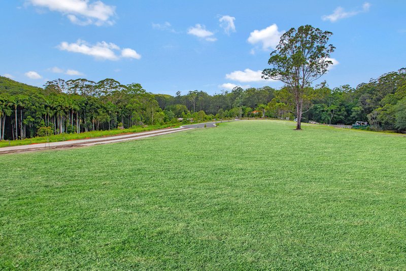 Photo - Proposed Lot 7 Dunne Road, Glenview QLD 4553 - Image 2