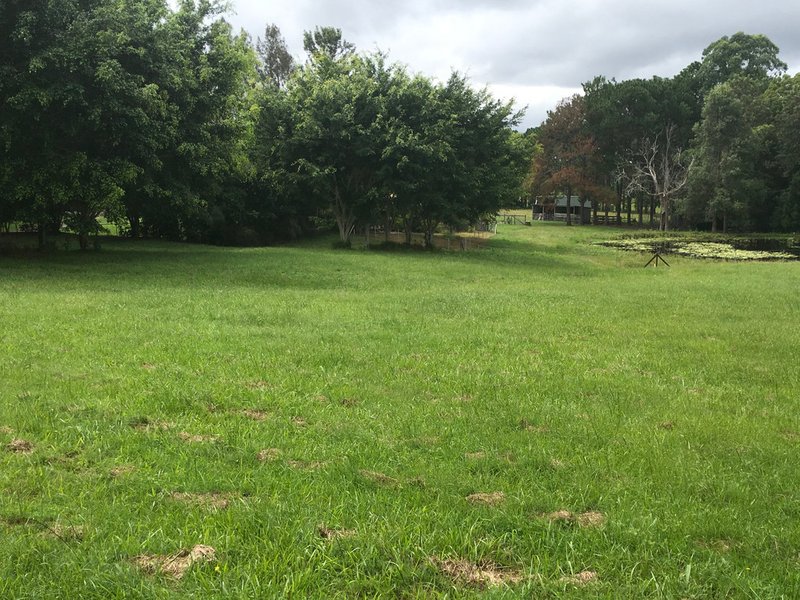 Photo - Proposed Lot 9 Glenview Road, Glenview QLD 4553 - Image 3