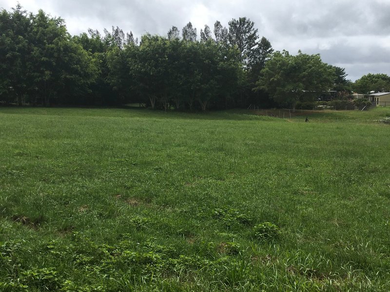 Photo - Proposed Lot 9 Glenview Road, Glenview QLD 4553 - Image 6