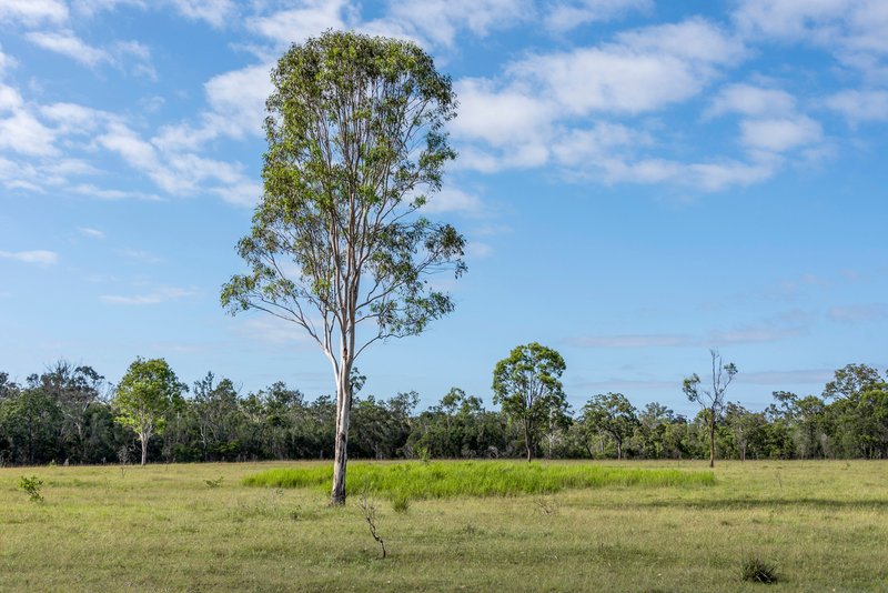 Photo - Proposed Lots On 64 Kent Parade - All Under Contract , Torbanlea QLD 4662 - Image 5