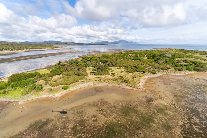 . Puncheon Island, Lady Barron TAS 7255