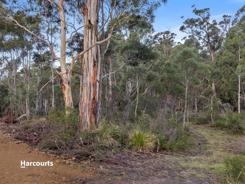 Photo - RA Off Williscroft Road, Judbury TAS 7109 - Image 14