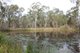 Photo - Raglan QLD 4697 - Image 3