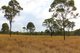 Photo - Raglan QLD 4697 - Image 5