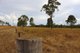 Photo - Raglan QLD 4697 - Image 6