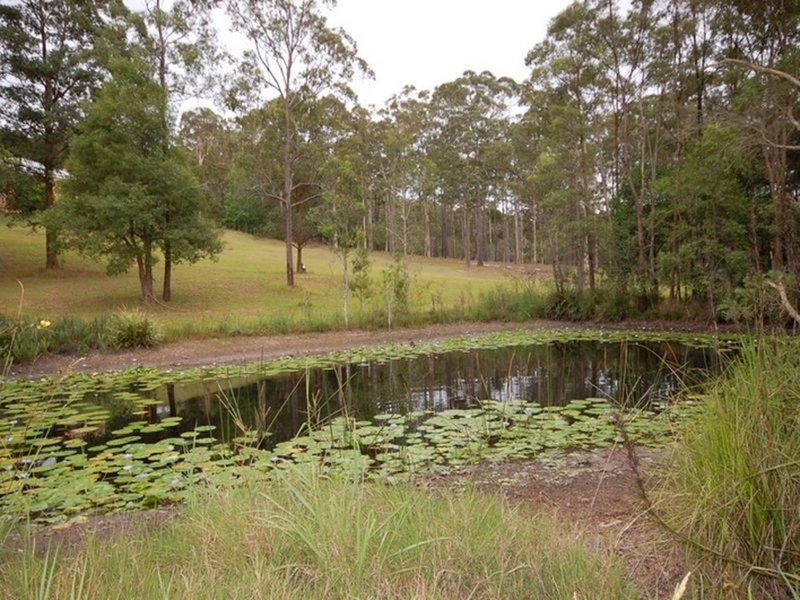 Photo - Rainbow Flat NSW 2430 - Image 22