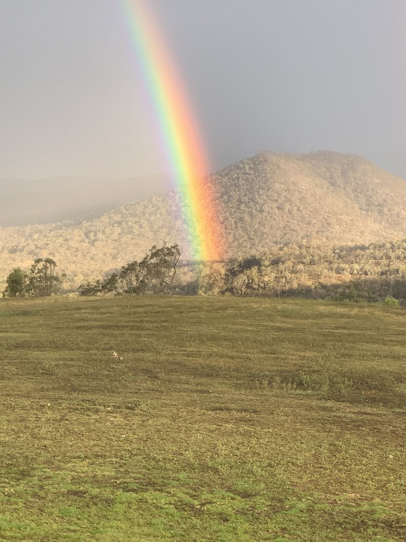 Photo - Ramsay QLD 4358 - Image 19