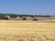 Photo - . Ramsay Road, Brookton WA 6306 - Image 4